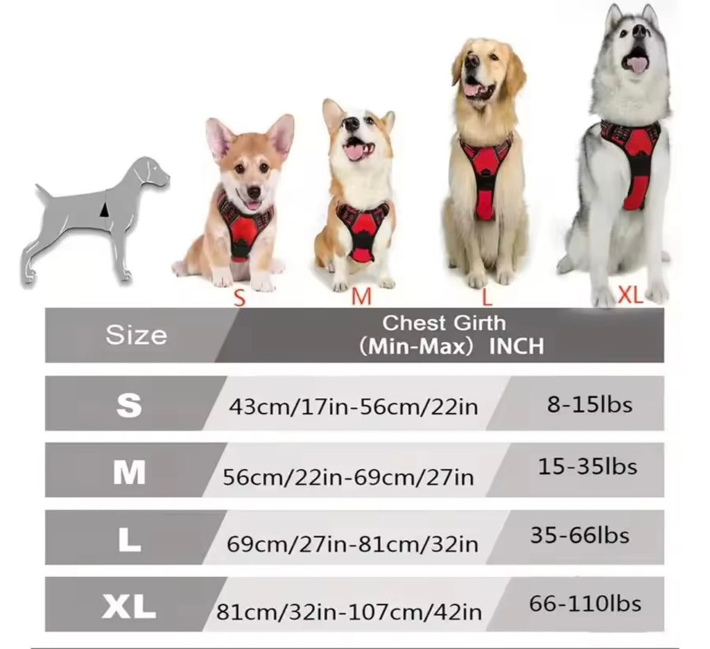 Harnais gilet Dogwalking