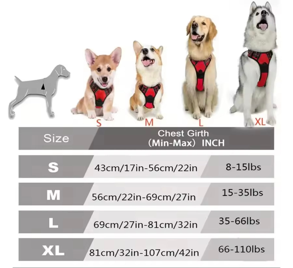 Harnais gilet Dogwalking