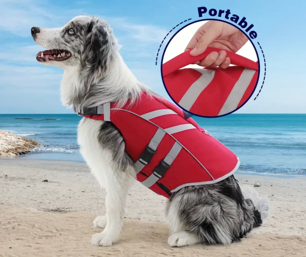 Gilet de sauvetage Dogwalking