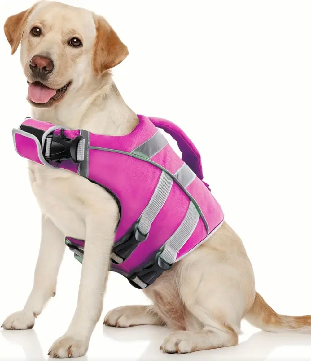 Gilet de sauvetage Dogwalking