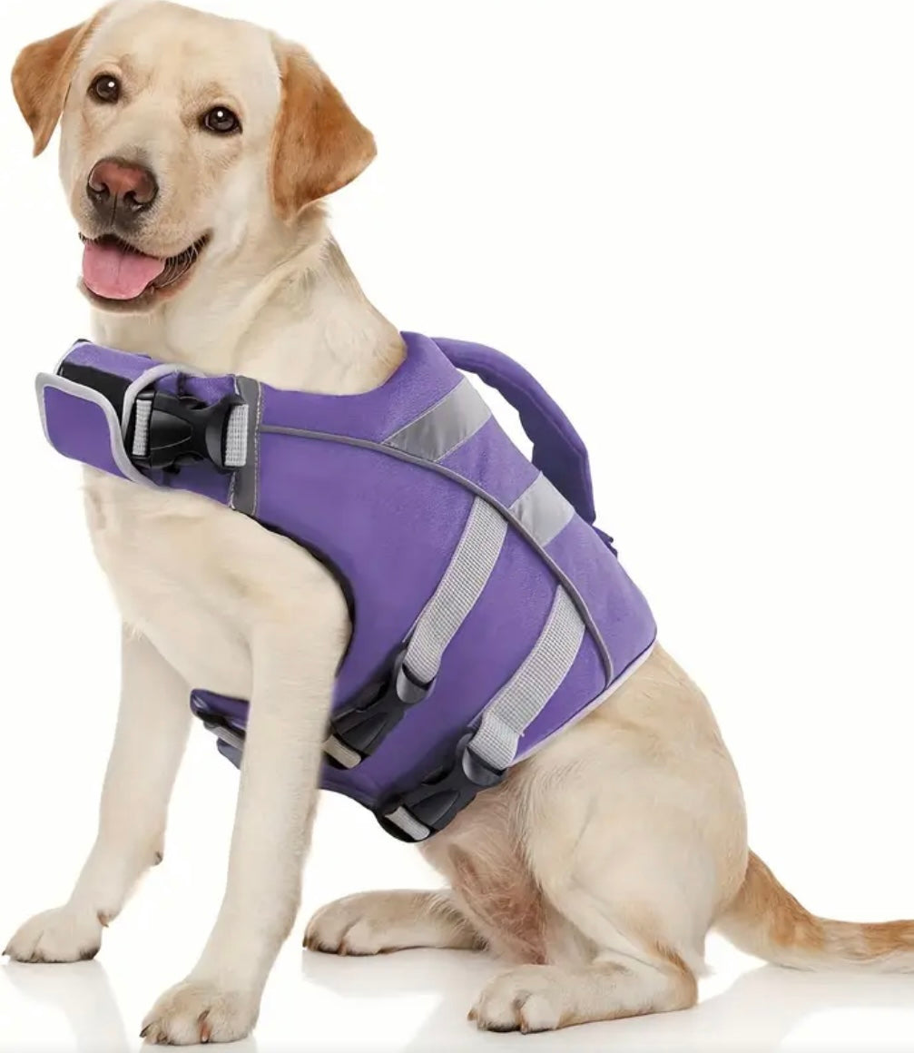 Gilet de sauvetage Dogwalking