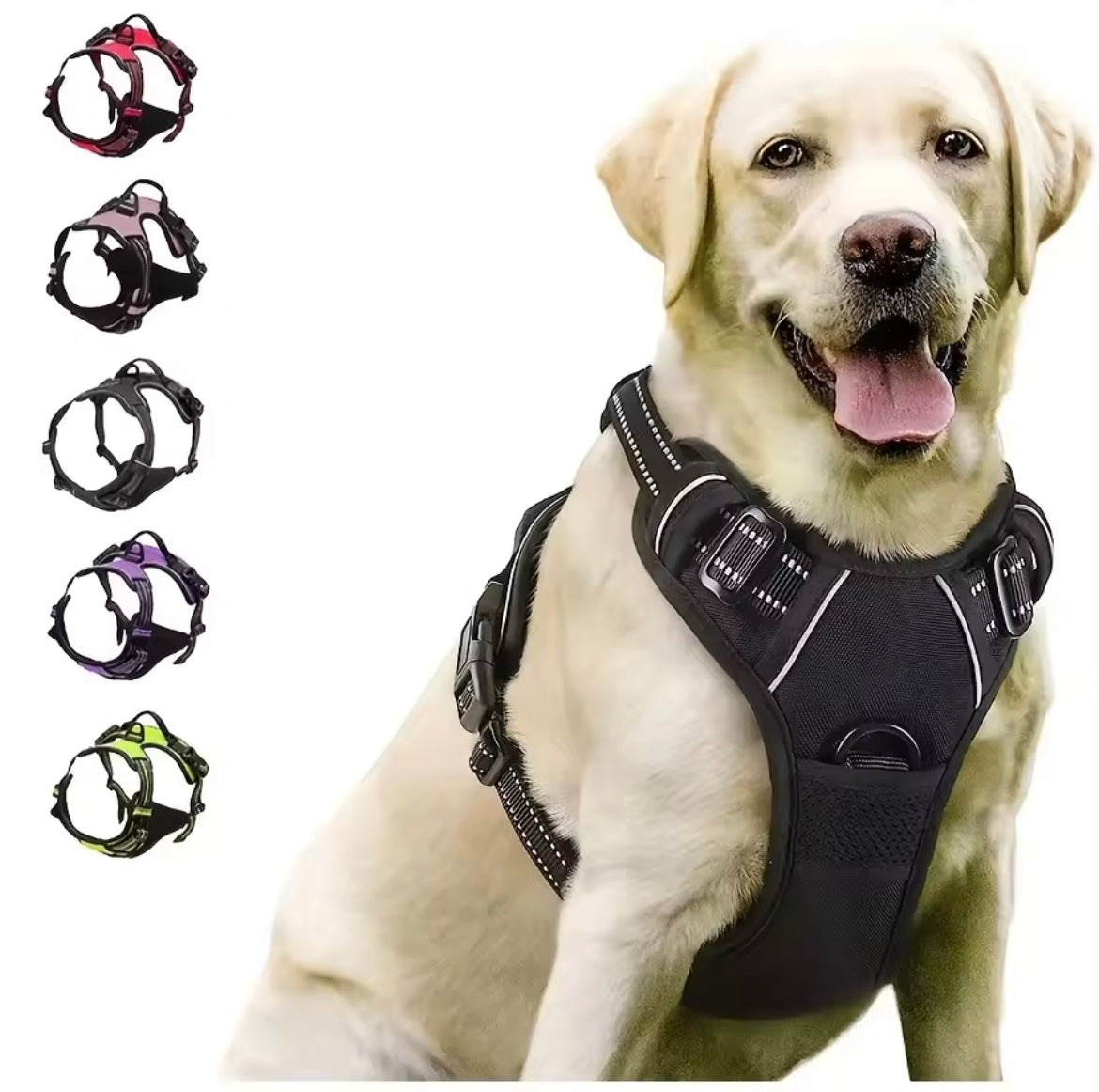 Harnais gilet Dogwalking