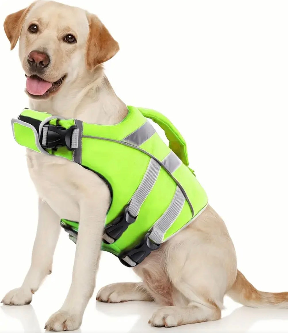 Gilet de sauvetage Dogwalking