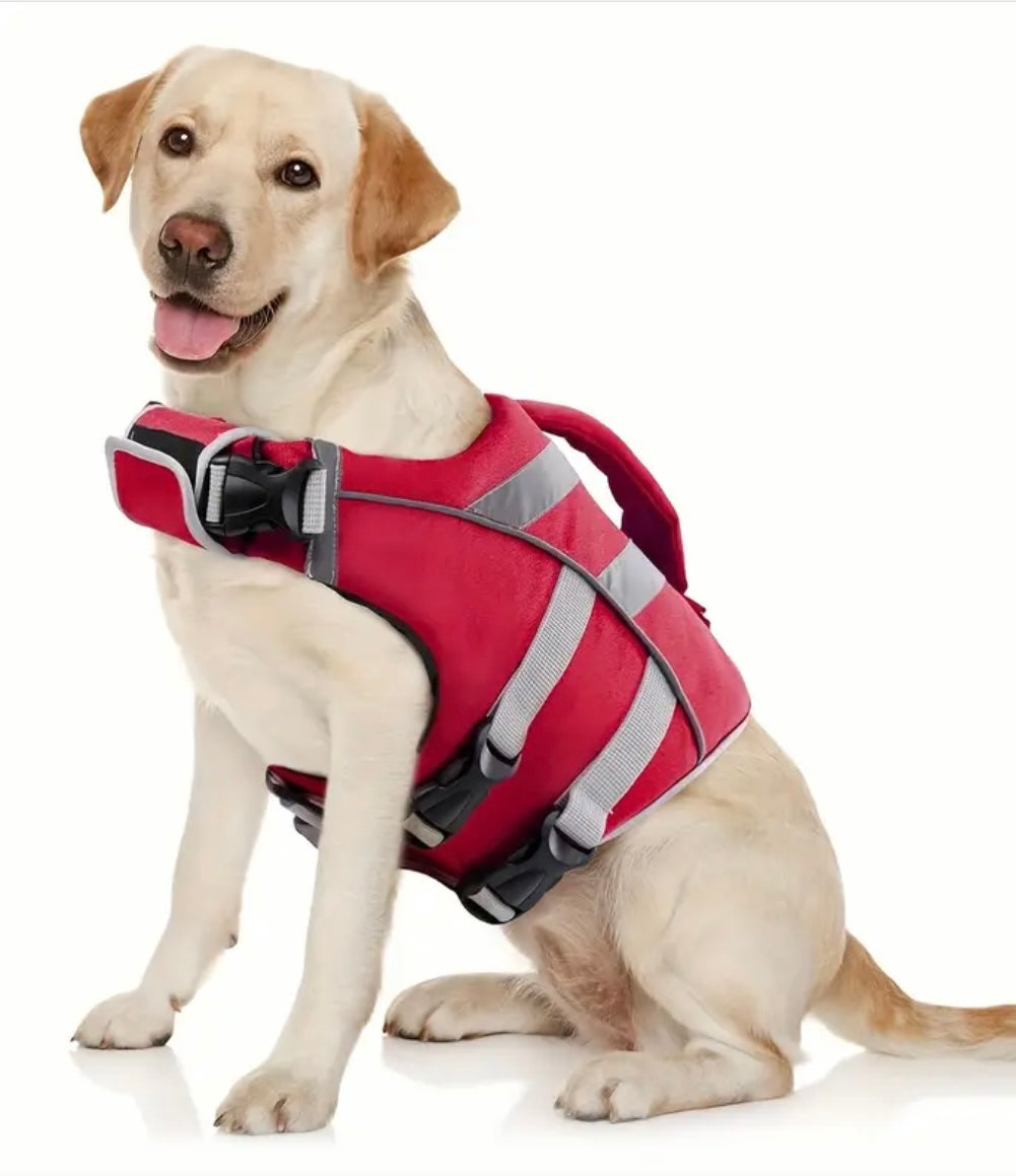 Gilet de sauvetage Dogwalking
