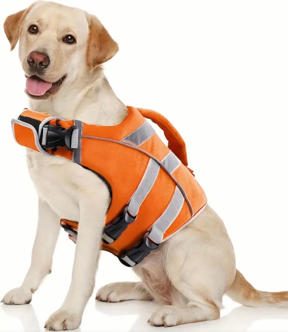 Gilet de sauvetage Dogwalking